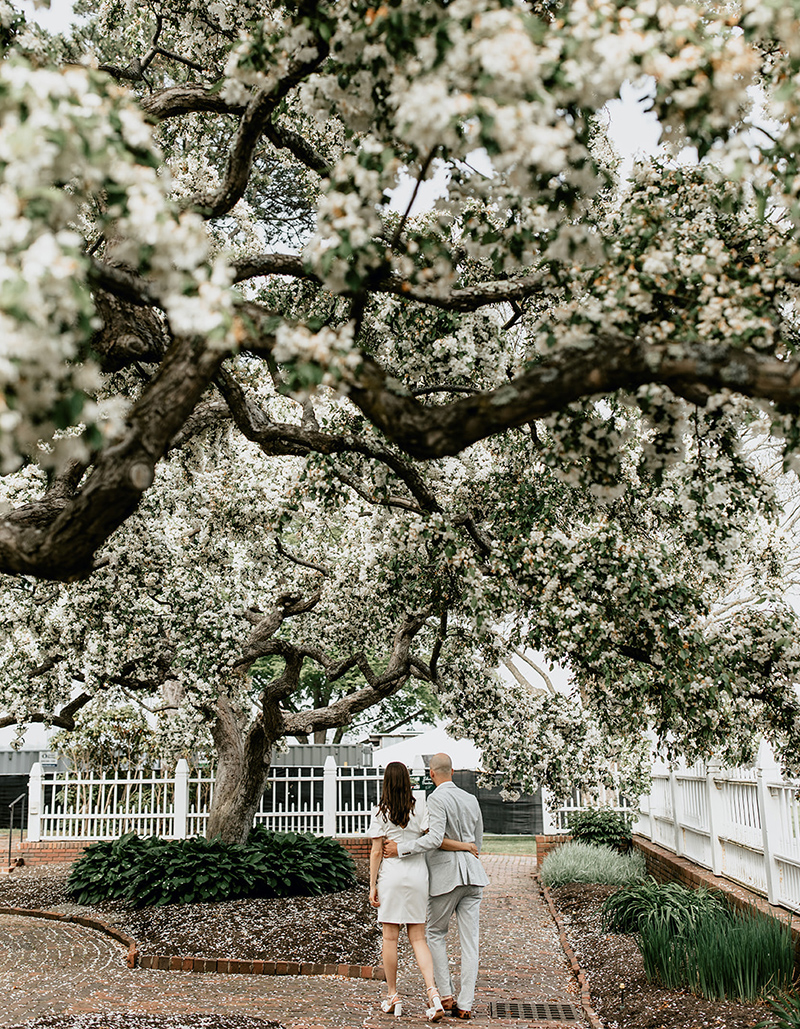 Alanna Hogan Photography