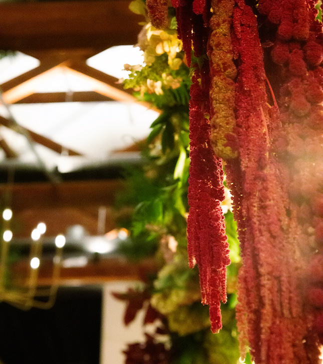 Courtney & Troy Wedding